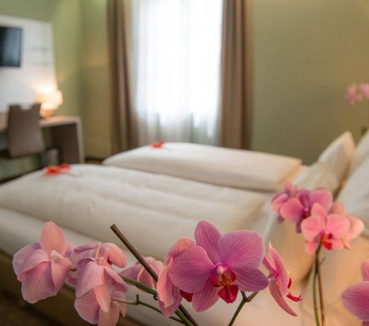 Hotel Raffel