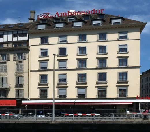 The Ambassador