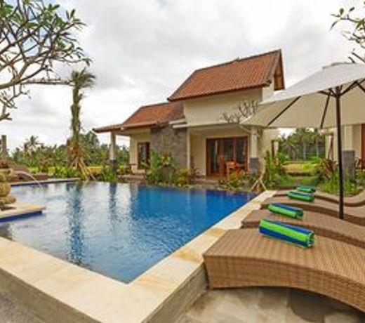 Sisin Ubud View