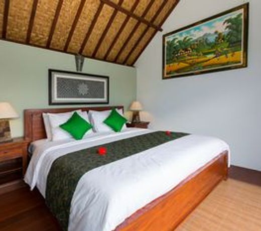 Sisin Ubud View