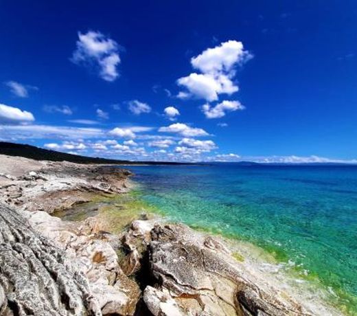 Apartment Agava Istria - family vacation rental with free parking, garden, WiFi