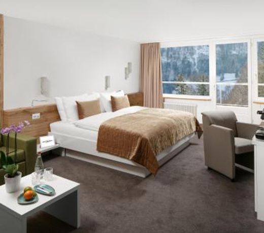 Hotel Waldegg - Adults only