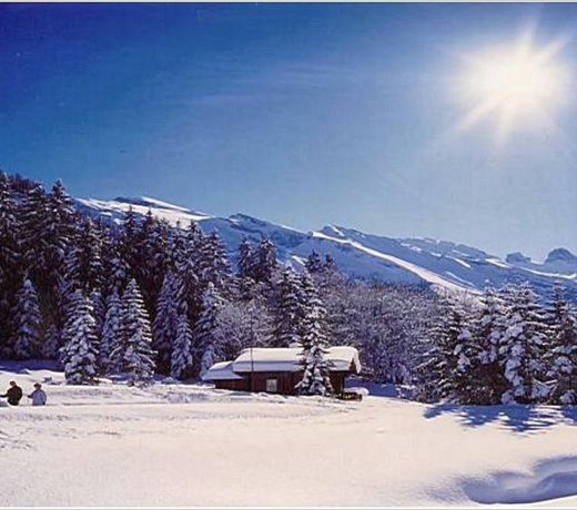 Chalet Bergmandli