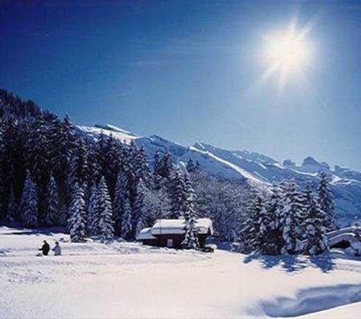Chalet Bergmandli