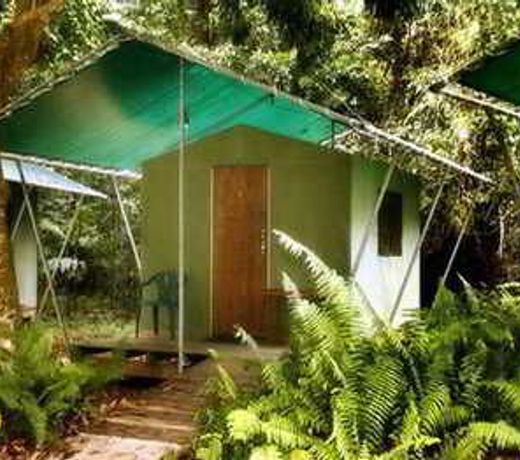Jungle Lodge