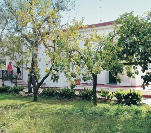 Villa La Limonaia