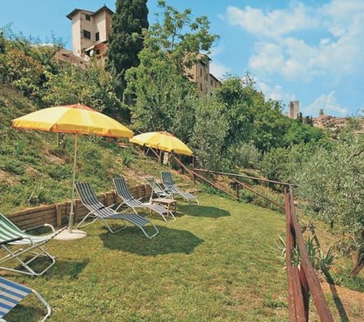 Zafferano 1