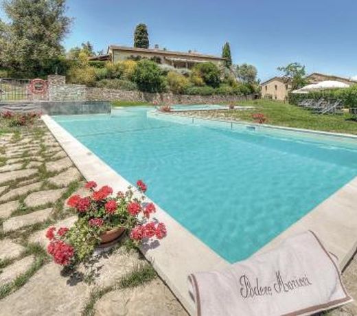 Vincenzo-podere Moricci