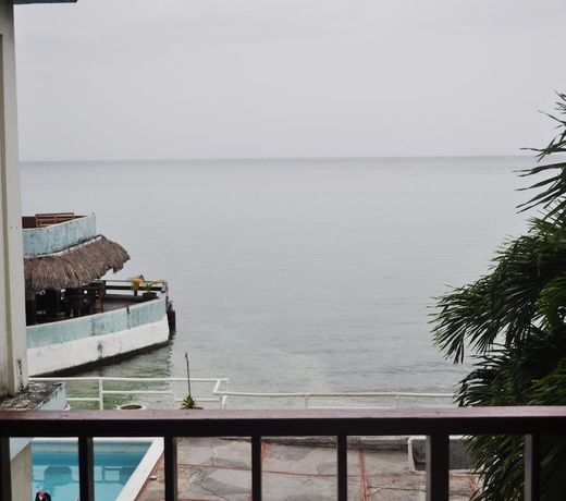 Ocean Palms