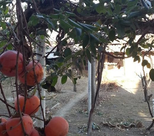 Holiday Home Ekaterine