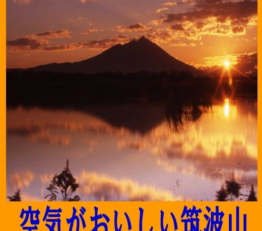 Business Hotel Tokiwa (Ibaraki)