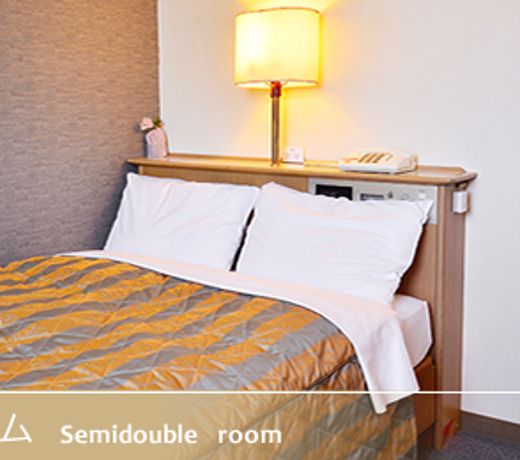 New Toyo Hotel 2 Toyohashi Station West