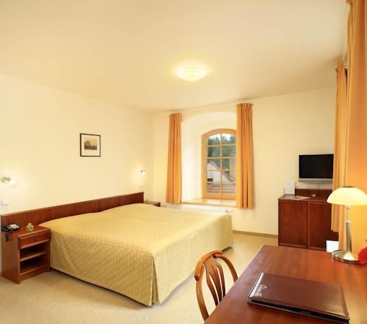 Hotel Mlyn