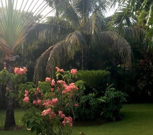 Cozy Garden Villas