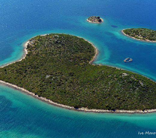 Apartment Garden Terrace