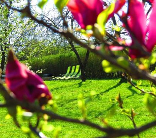 House Wisteria