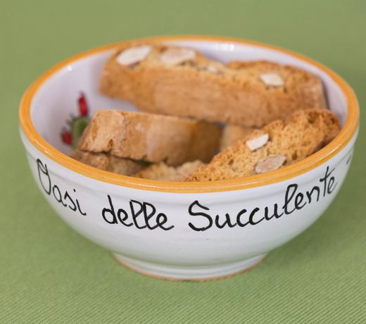 Oasi delle Succulente