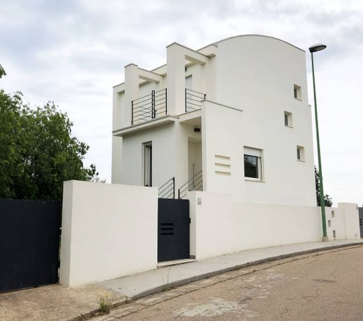 Modern House