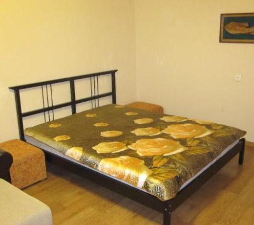 Apartment Kropotkina 11a