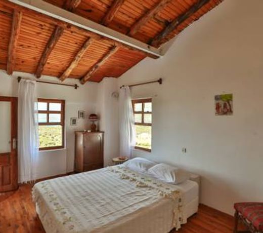 Villa Kaktus 2