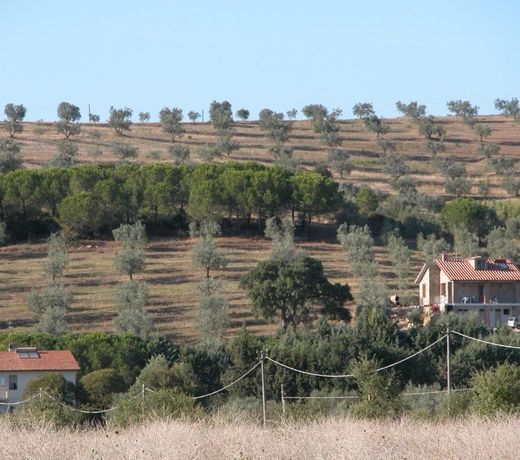 Agriturismo San Lino-Gilberto