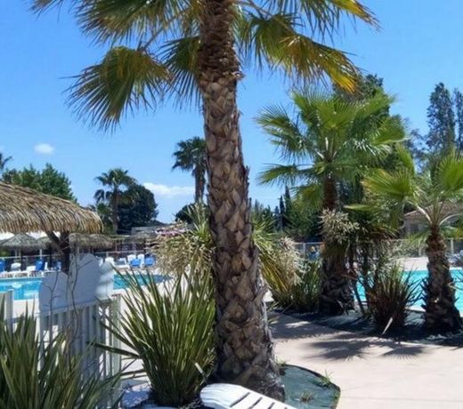 Mobile Home Village Plein Air