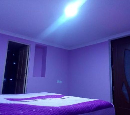 Borjomi Makvala's Guest House