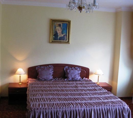 Spa Hotel PurkynÄ
