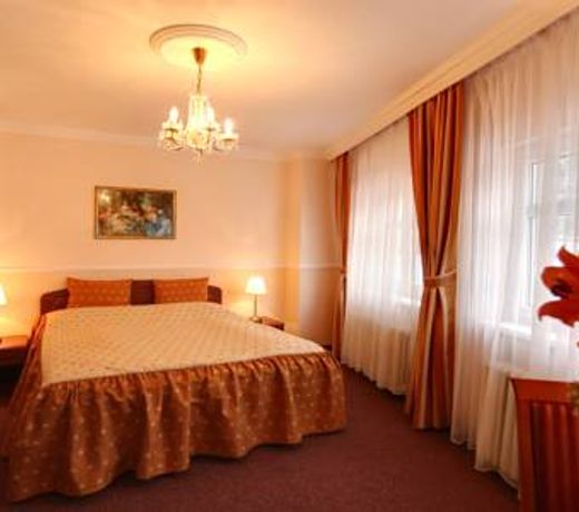 Spa Hotel PurkynÄ