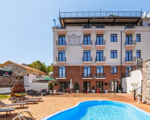 Hotel Gino Wellness Mtskheta - Мцхета - фото 20