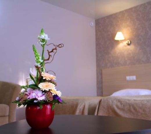 Alians Hotel Samarskiy
