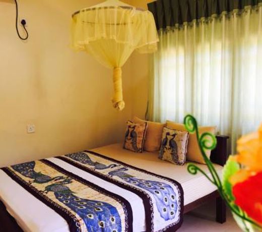 New Peacock Resort