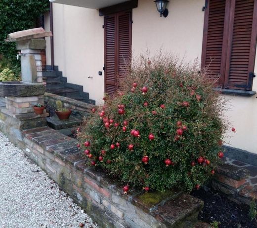 Agriturismo Il Melo