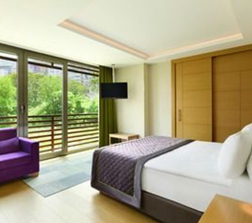 Ramada By Wyndham Bursa Cekirge Thermal & Spa