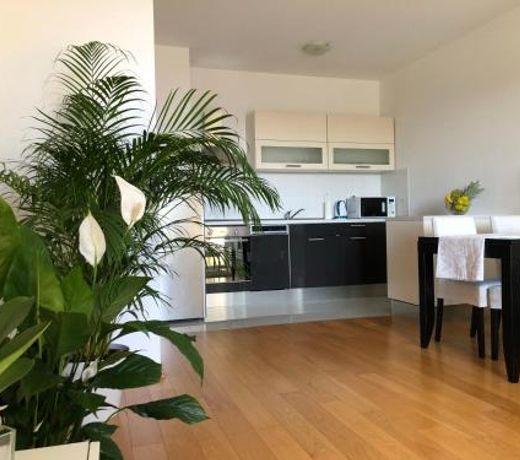 Apartment Charming