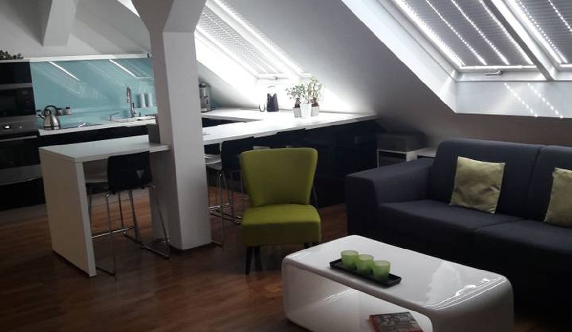 Luxury Apartment Letna