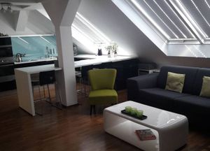 Luxury Apartment Letna