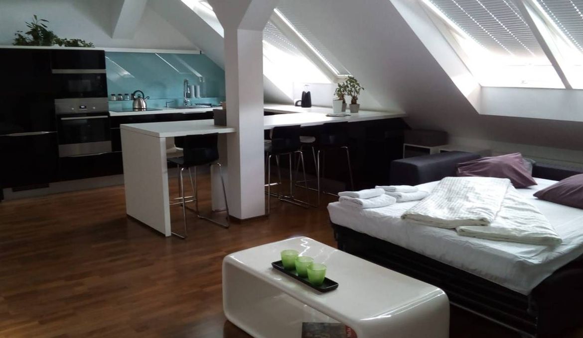 Luxury Apartment Letna