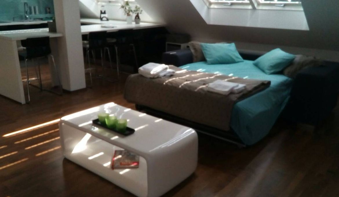 Luxury Apartment Letna