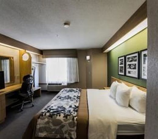 Sleep Inn & Suites Johnson City