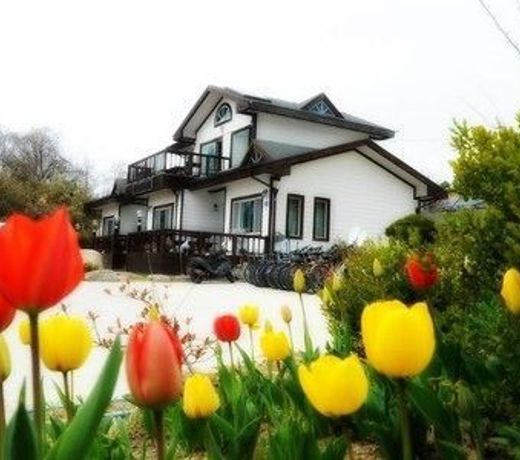 GN Guesthouse - Hostel