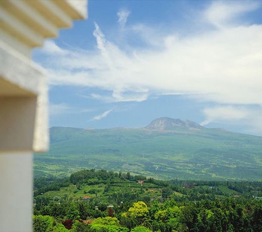 Sangroksu Forest House