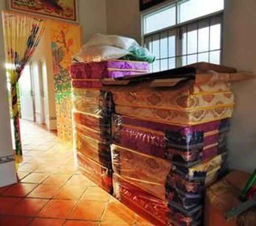 Tram Chim Homestay