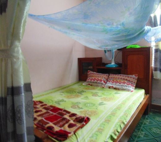 Flower & Frog Homestay
