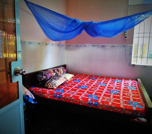 Flower & Frog Homestay