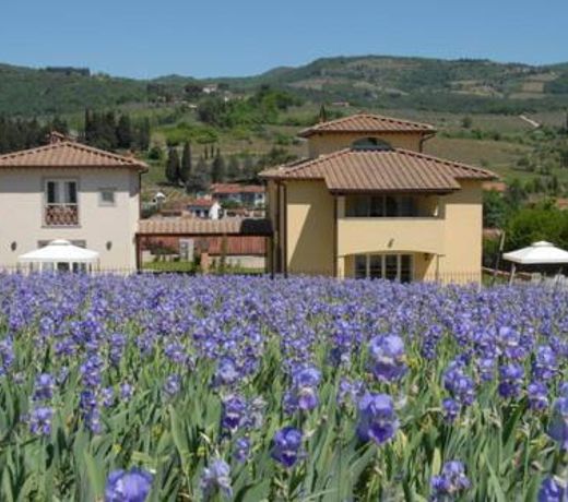 Casa Rosa