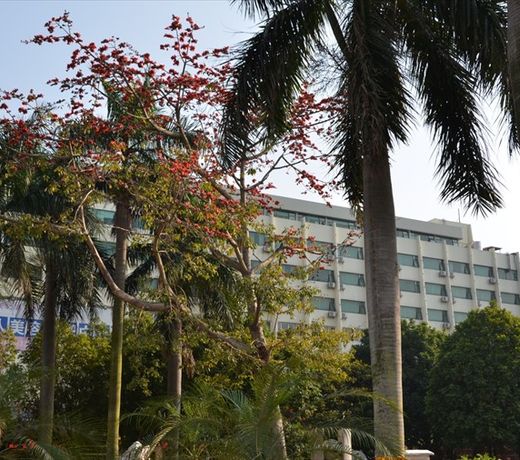 Greenery Hotel