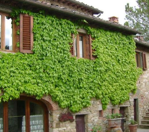 Agriturismo Il Santo
