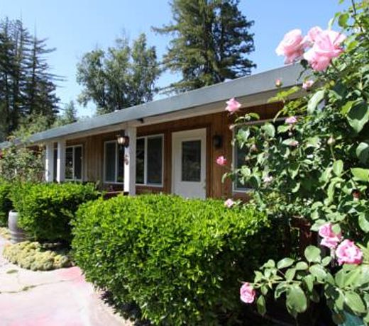 The Woods Hotel and Cabins