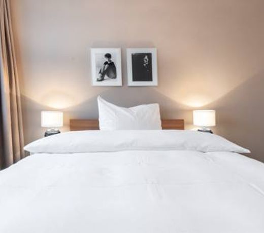 Hotel Birsighof Basel City Center